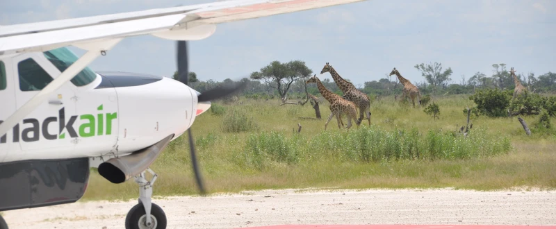 Botswana’s delta airline
