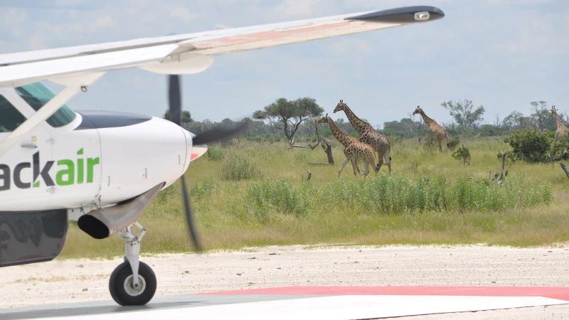 Botswana’s delta airline