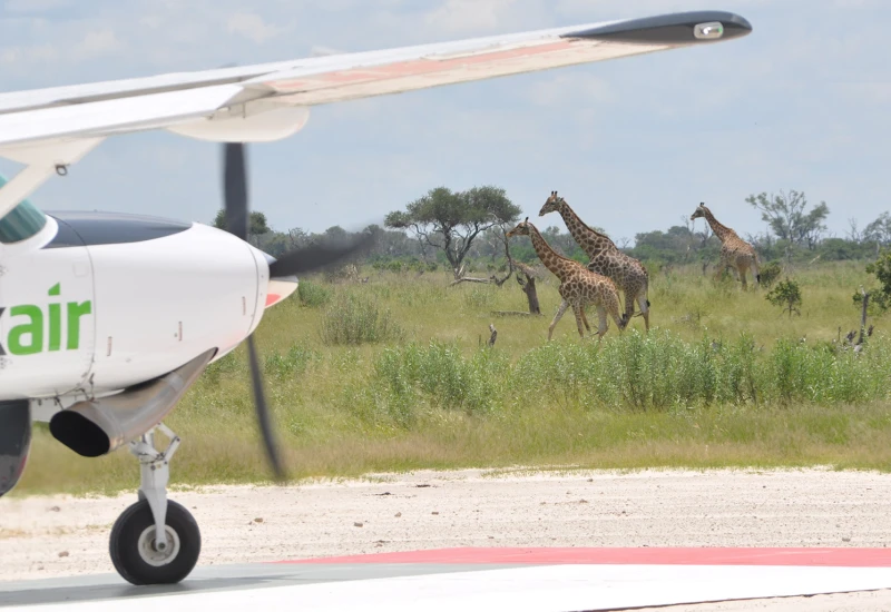 Die Delta-Airline aus Botswana
