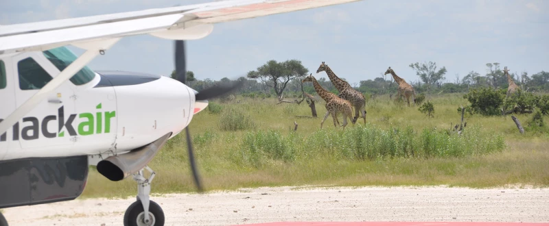 Die Delta-Airline aus Botswana