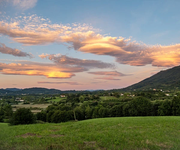 shutterstock_1711737889