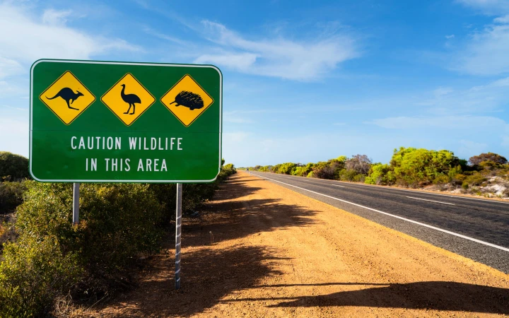 MTU Maintenance Australia: A decade of success