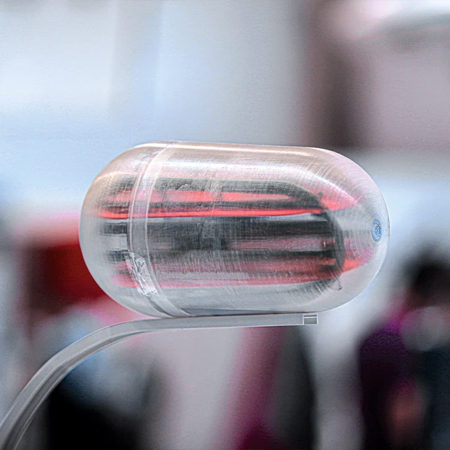 3_14235323452_1862bc464a_o_mp_650x650