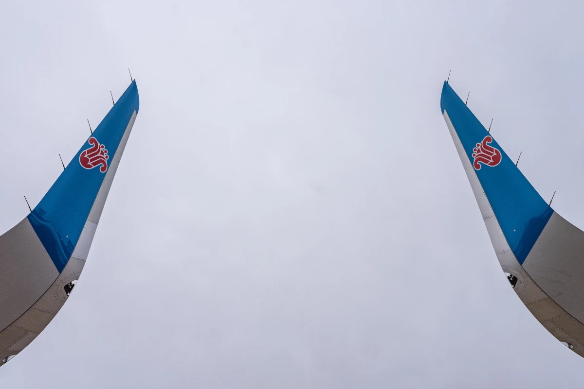 Efficiency in flight: