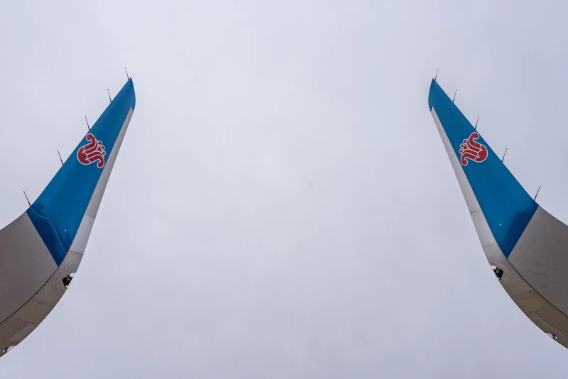 Efficiency in flight: