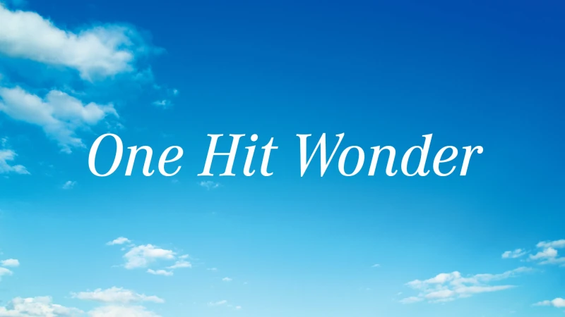 One of a kind: These aircraft remain flying rarities