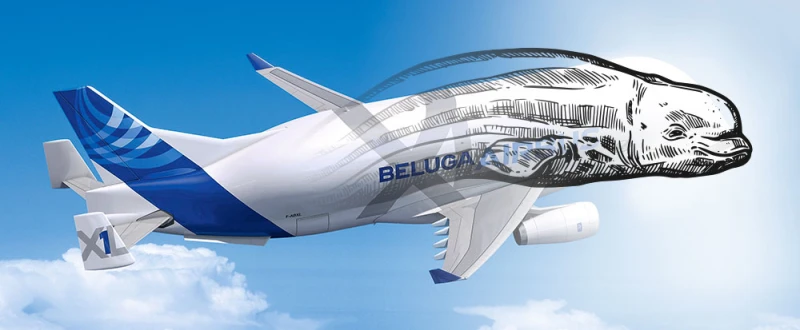 Fliegende Frachter für das ganz große Sperrgepäck