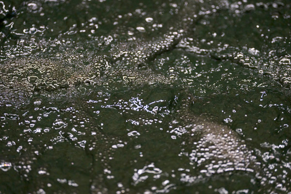 mtu_ak_galvanik_2023_08_08__104