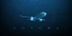 Cleaner flight: Europe explores paths to climate-neutral air travel